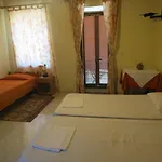 Palameria * ماغيستي